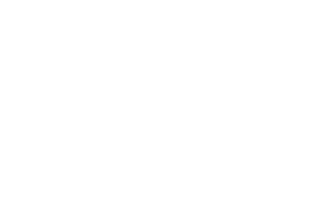 Wolfstak logo