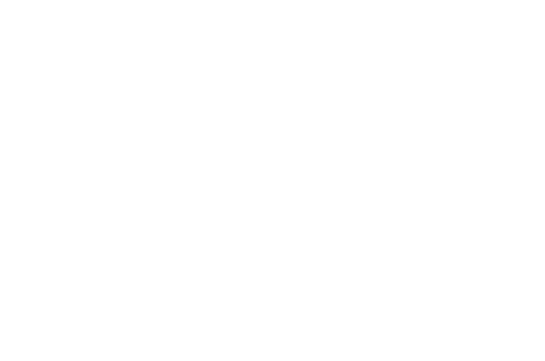 Beeolocal logo