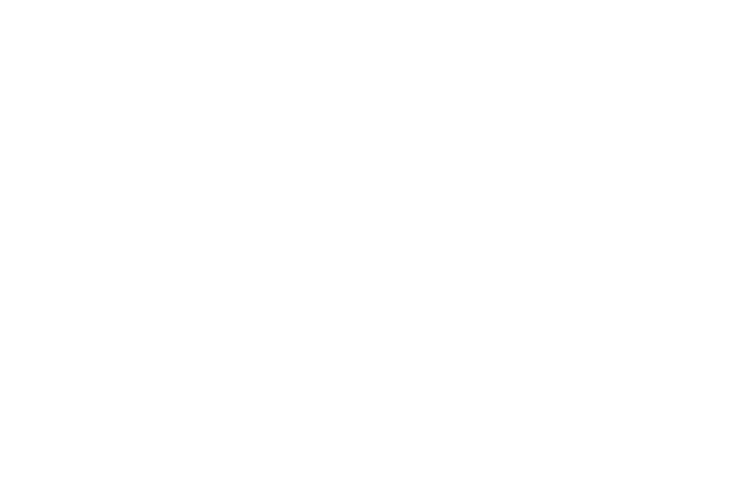 Into The Wild logo