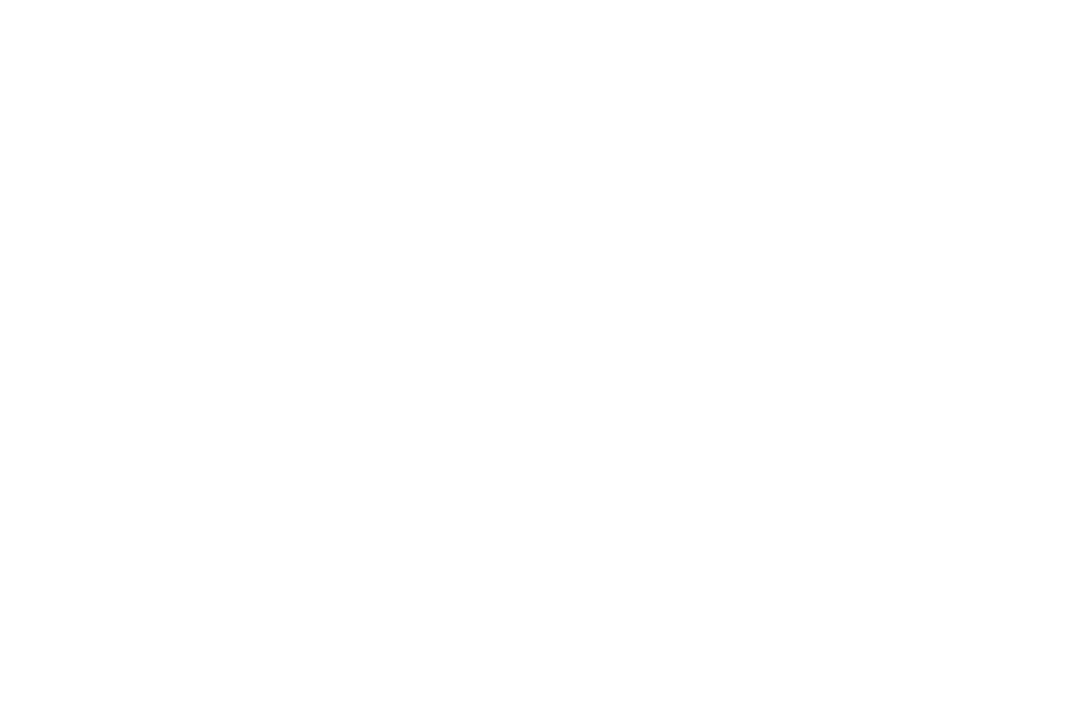 Van Messel Meat logo