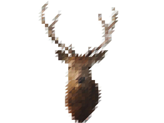 Sliced Pixel Stag Victor van Gaasbeek