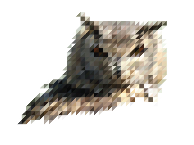 Sliced Pixel Owl Victor van Gaasbeek