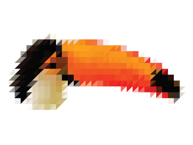 Sliced Pixel Tucan Victor van Gaasbeek