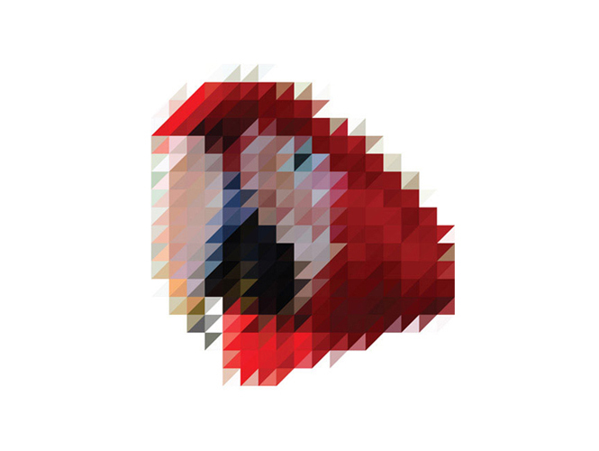 Sliced Pixel Parrot Victor van Gaasbeek